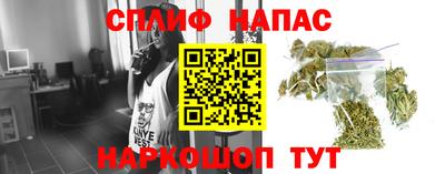 гашиш Новокубанск