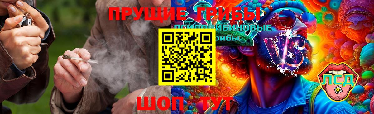 Галлюциногенные грибы Psilocybine cubensis Тула