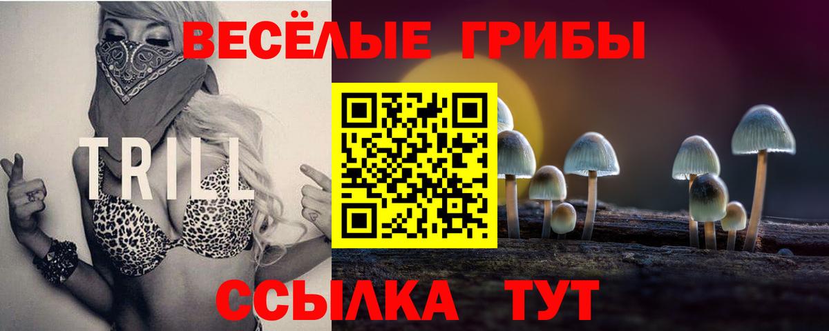 Тула  Псилоцибиновые грибы MAGIC MUSHROOMS  Вход с VPN 